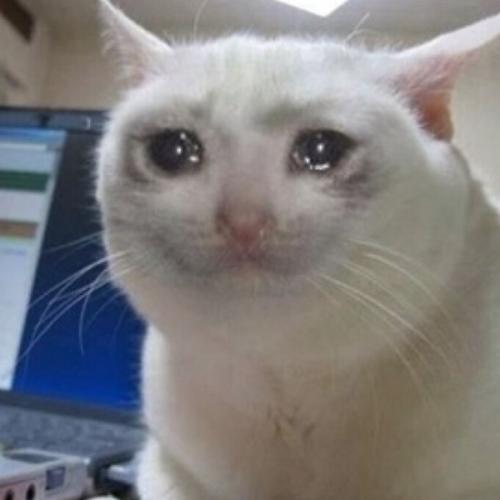 สมาชิกหมายเลข 822437