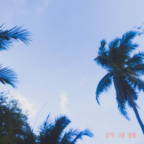 สมาชิกหมายเลข 6709840