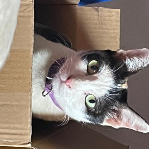 สมาชิกหมายเลข 7918519