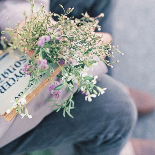 สมาชิกหมายเลข 4146868