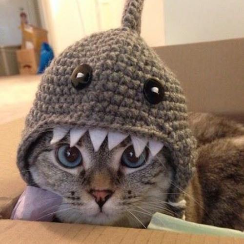 สมาชิกหมายเลข 4477563