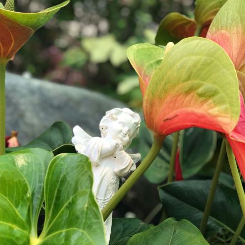 สมาชิกหมายเลข 4477604