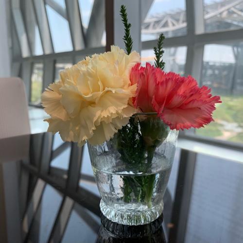 สมาชิกหมายเลข 5194940