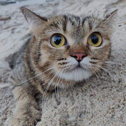 สมาชิกหมายเลข 5194991