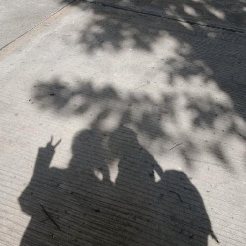 สมาชิกหมายเลข 5194993