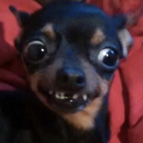 สมาชิกหมายเลข 3467804