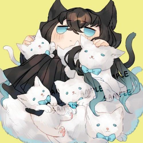 สมาชิกหมายเลข 5600498