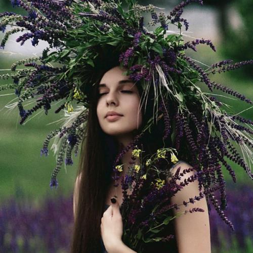 สมาชิกหมายเลข 6168410