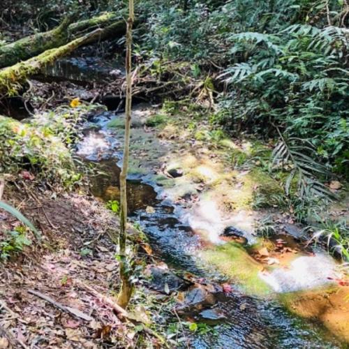 สมาชิกหมายเลข 2737724