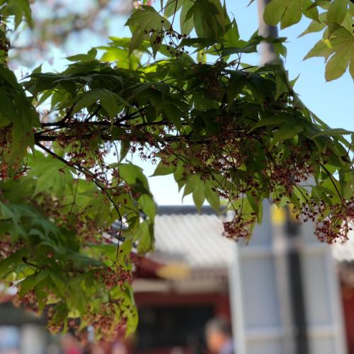 สมาชิกหมายเลข 6276538