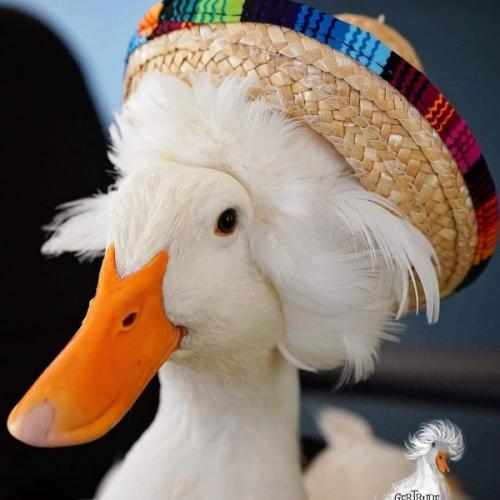 สมาชิกหมายเลข 6804794