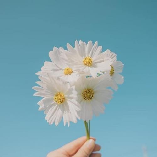 สมาชิกหมายเลข 6603266