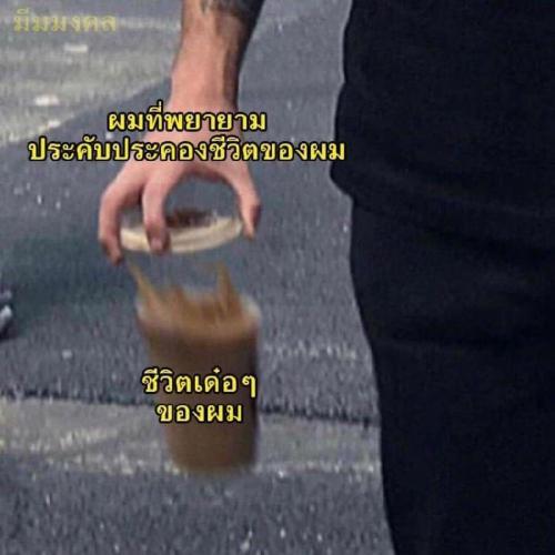 สมาชิกหมายเลข 5362510