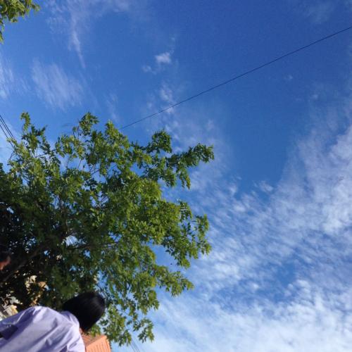 สมาชิกหมายเลข 4013735