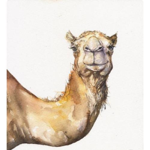 สมาชิกหมายเลข 1412738