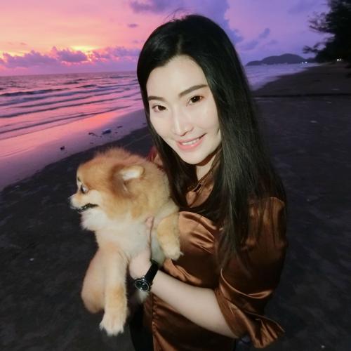 สมาชิกหมายเลข 4566166