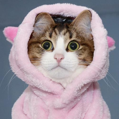 สมาชิกหมายเลข 2757169