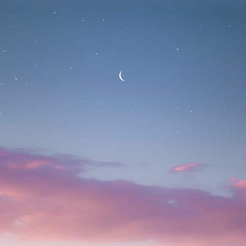 สมาชิกหมายเลข 5195354