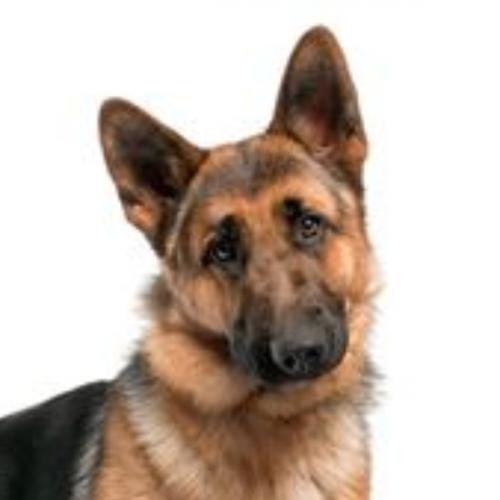 ลิลิตพระลอ