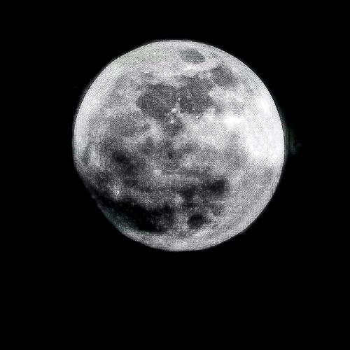 สมาชิกหมายเลข 4731894