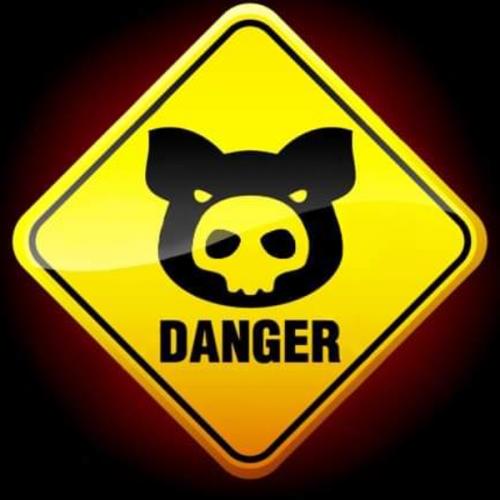 สมาชิกหมายเลข 8496406