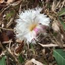 สมาชิกหมายเลข 3050335