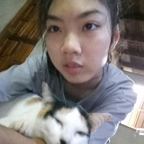 สมาชิกหมายเลข 4812368