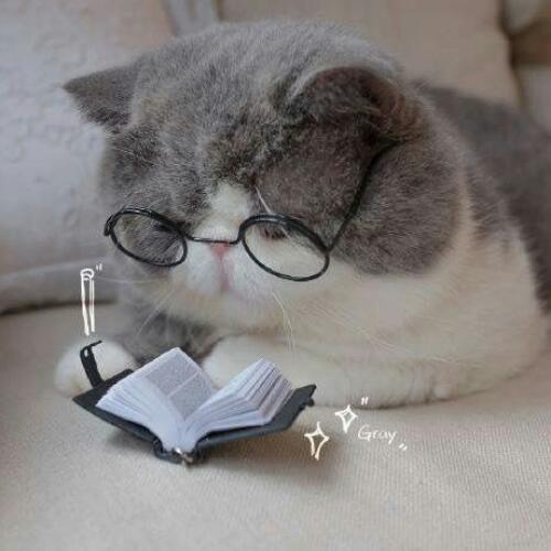 สมาชิกหมายเลข 5195585