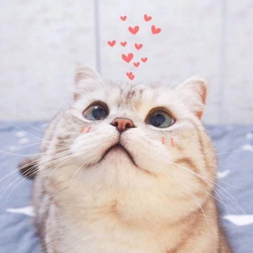 สมาชิกหมายเลข 1420353