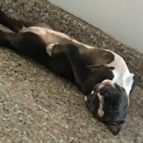 สมาชิกหมายเลข 3062617