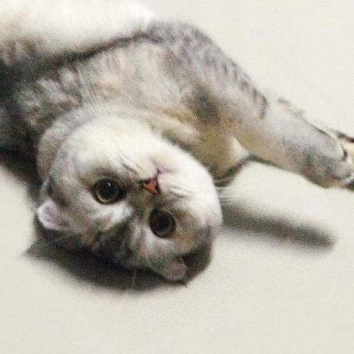 สมาชิกหมายเลข 5400707