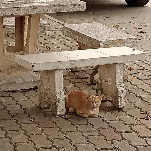 สมาชิกหมายเลข 6172276