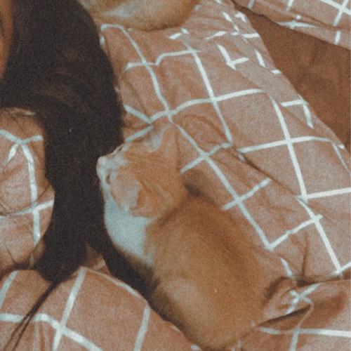 สมาชิกหมายเลข 6172454