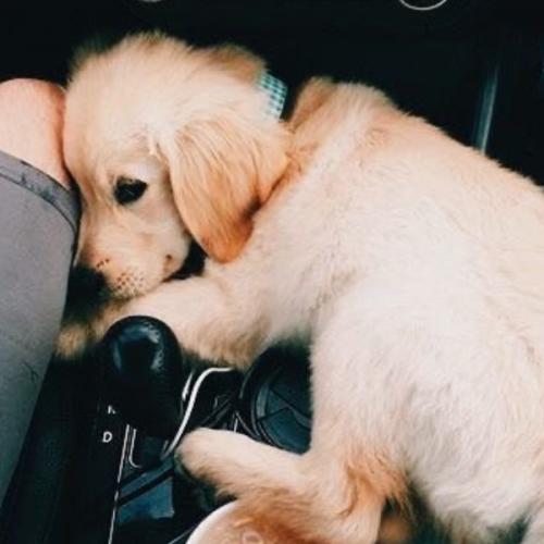 สมาชิกหมายเลข 6798359