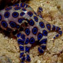 สมาชิกหมายเลข 1613015