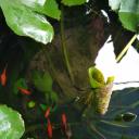 สมาชิกหมายเลข 3752633