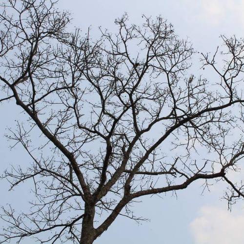 สมาชิกหมายเลข 4812872