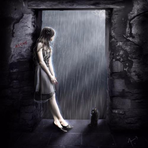 สมาชิกหมายเลข 5195933