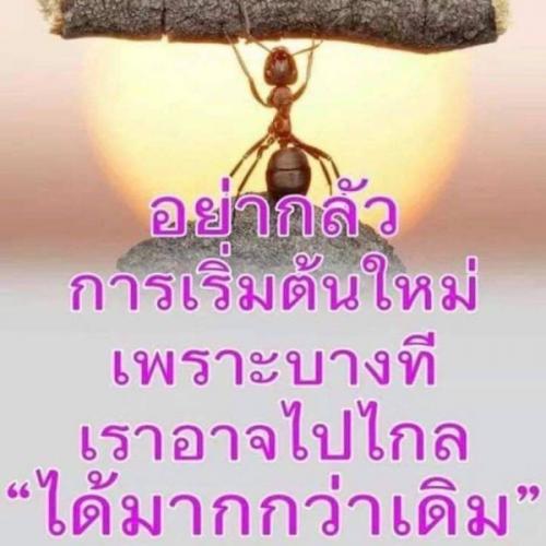 สมาชิกหมายเลข 5606457