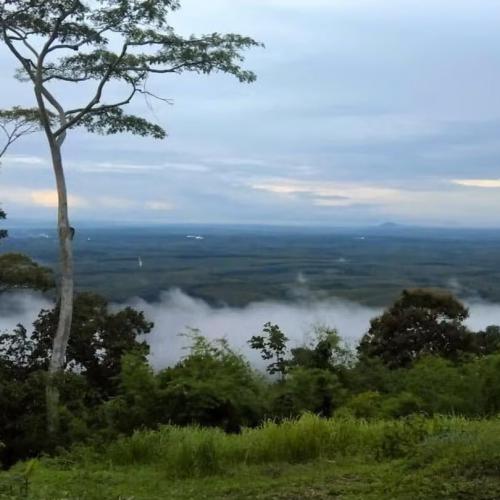 สมาชิกหมายเลข 4831520