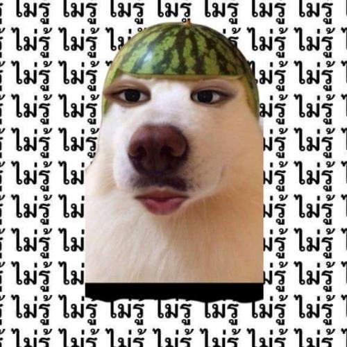 สมาชิกหมายเลข 6123838