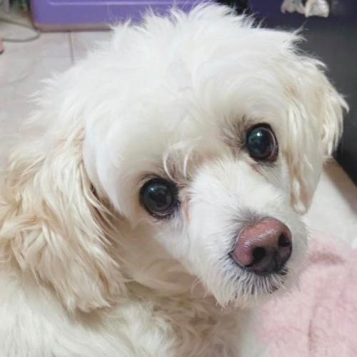 สมาชิกหมายเลข 2839357