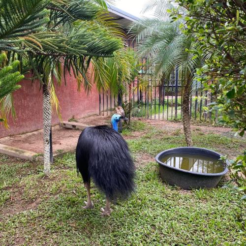 สมาชิกหมายเลข 5005345