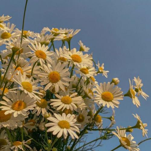 สมาชิกหมายเลข 7603928