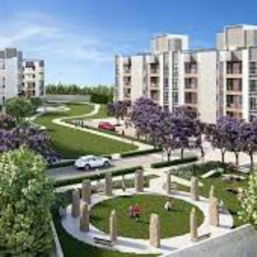 สมาชิกหมายเลข 8500296