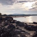 สมาชิกหมายเลข 2398182