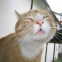 สมาชิกหมายเลข 907886