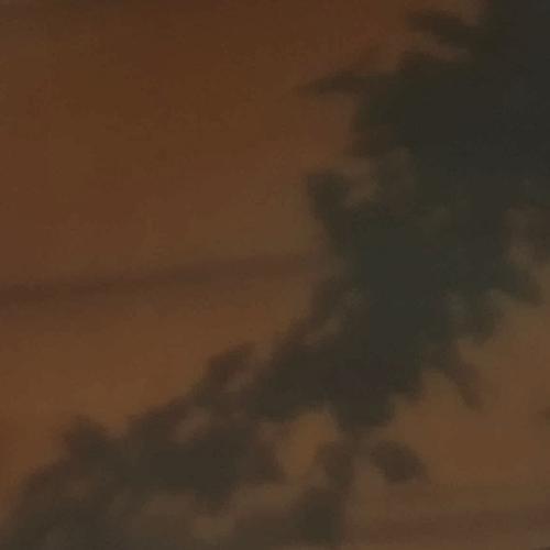 สมาชิกหมายเลข 2889477