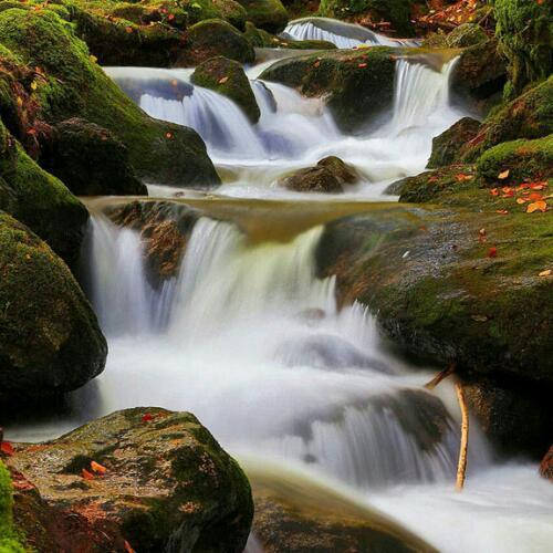 สมาชิกหมายเลข 4549718