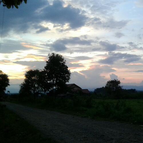 สมาชิกหมายเลข 4813083